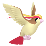 pidgeot 0 listu